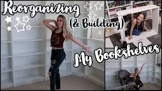 ▵ Reorganizing My Bookshelves ▵