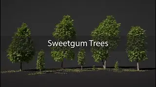 SeedMesh Trees