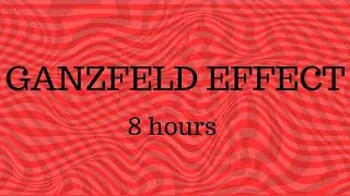 THE GANZFELD EFFECT | 8 hours