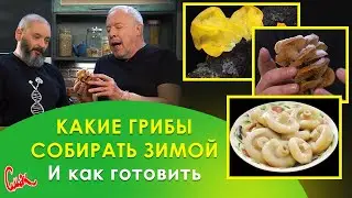 ЗИМНИЙ ГРИБ ОПЕНОК Необыкновенная закуска под водку, салат с грибами, щи от ГЛАВНОГО ГРИБНИКА СТРАНЫ