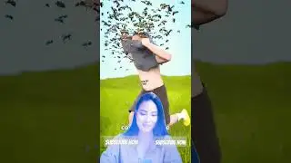 How 🤨 To Swarm Of bees 🐝 #facts #beelife #funny #savethebees #beelover #interestingfacts #shortvideo