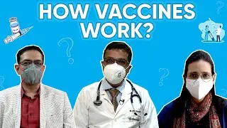 How vaccines work?