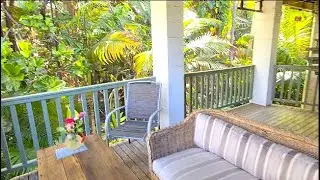 An Airbnb Tropical Garden on the Sunshine Coast