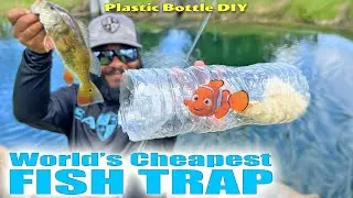 World's CHEAPEST Fish Trap DIY Plastic Bottle