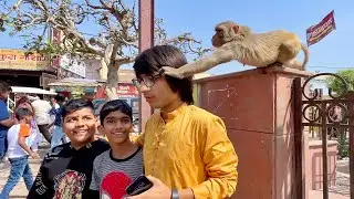 Monkey Chasma Legya 😲 Vrindavan Mein