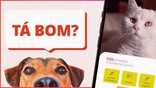 Adoção de PETS via MATCH? | DESIGN REVIEW