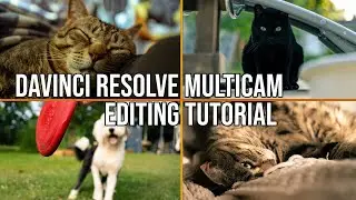 DaVinci Resolve Multicam Editing Tutorial | Step-by-Step Tutorial to Get You Started