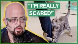 Jackson Treats A Cat That Keeps Attacking Her Owner Every Night | My Cat From Hell