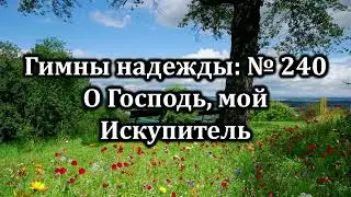 Гимны Надежды № 240 О, Господь, мой Искупитель| Караоке с голосом | Христианские песни | Песни АСД