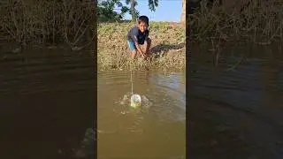 Amazing Village boy catching big catfish by hook in pond #fishing #hook_fishing #shorts