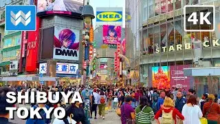 [4K] Shibuya Crossing to Harajuku Takeshita Street in Tokyo Japan 🇯🇵 2024 Night Walking Tour Vlog