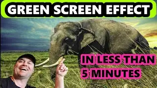 How to do a Green Screen Effect in Filmora 9