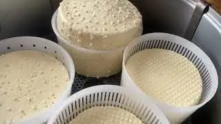 КАЧОТТА🧀🧀🧀С ТЕЛЯЧЬЕЙ ЛИПАЗОЙ.ОГОРОД