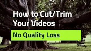 How to Trim A Video on Windows (Simple & Quick Tutorial)