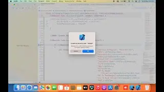 How to solve debugserver is x86_86 binary running in translation, attached failed. Simulator error