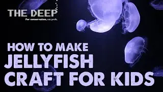 Jellyfish Craft Ideas for Kids! | TheDeepHull