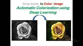 Gray scale to color image : Automatic colorization using deep learning