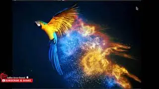 Installing Parrot Linux using VMware Workstation 12 Pro