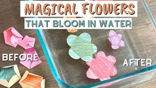 Magic Blooming Paper Flowers | Fun STEM Activity For Kids