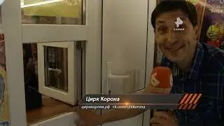 Сюжет Цирк