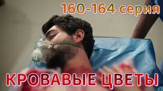 Кровавые цветы 160-164 серия на русском языке. Анонс и дата выхода