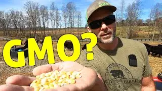 FARMER SPEAKS OUT! Genetically engineered food IS WRONG? $$ v/s Health!