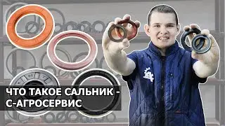 Что такое сальник?