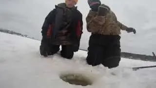Catfish caught Ice Fishing 2015 / Fishnet Charters