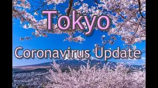 Latest Update Tokyo #8  - Cherry Blossom has finally bloomed 2020 桜の花