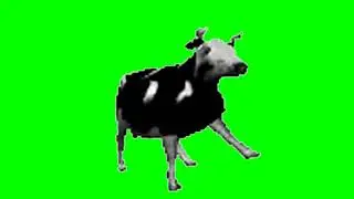 Dancing Polish Cow - Green Screen 60fps