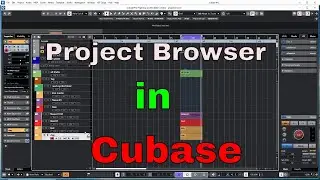 Project Browser in Cubase