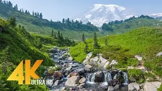 4K Gentle Stream - 5 HOURS Sounds of Water Stream - Mt. Rainier