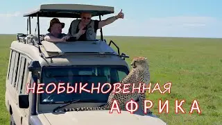 Необыкновенная АФРИКА