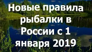 Новые правила рыбалки в России с 1 января 2019 года.