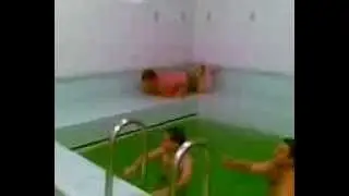 Тюлень катается в бане