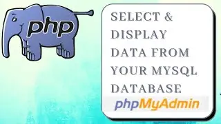 Select  & Display Data From Your MYSQL DATABASE