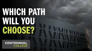 Which Path Will You Choose?