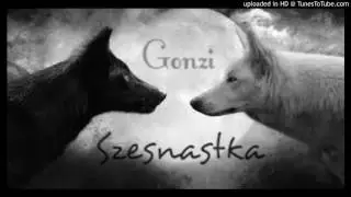 Gonzi - Szesnastka