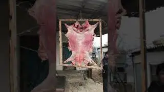 Вот, как правильно нужно разделывать и сушить мясо!