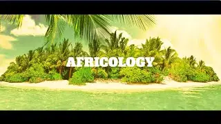 Africology - Peponi (Radio Edit)