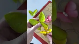 🦋 БАБОЧКИ из Вафельной Бумаги за 15 минут от @pro.moi.tort🦋Waffle Paper BUTTERFLIES