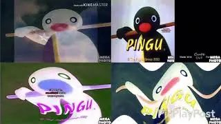 8 pingu outro