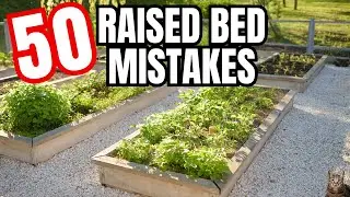 50 Raised Bed Garden Mistakes And How To Correct Them