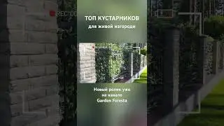 #ландшафт