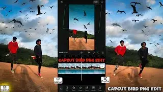 How to Edit a Bird PNG Video (using Capcut)