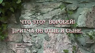 Что это?  Воробей! Притча об отце и сыне.