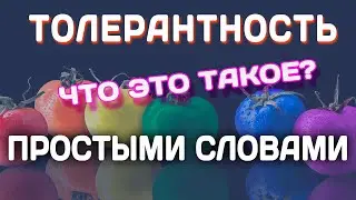 ТОЛЕРАНТНОСТЬ что это простыми словами? Ответ