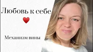 Любовь к себе/Механизм вины