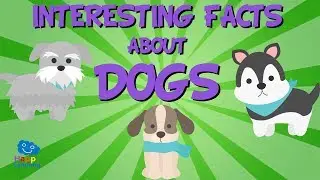 Interesting facts about Dogs | Educational Video for Kids.