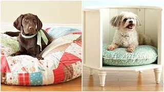 Best 26 DIY Pet Bed Ideas for 2018